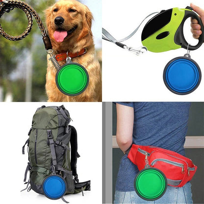 COLLASPABLE DOG/CAT FOOD BOWLS