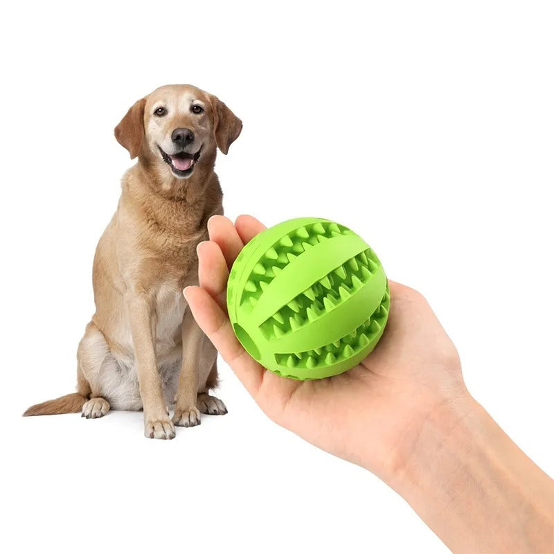 PET DOG TOY INTERACTIVE CHEW TOY